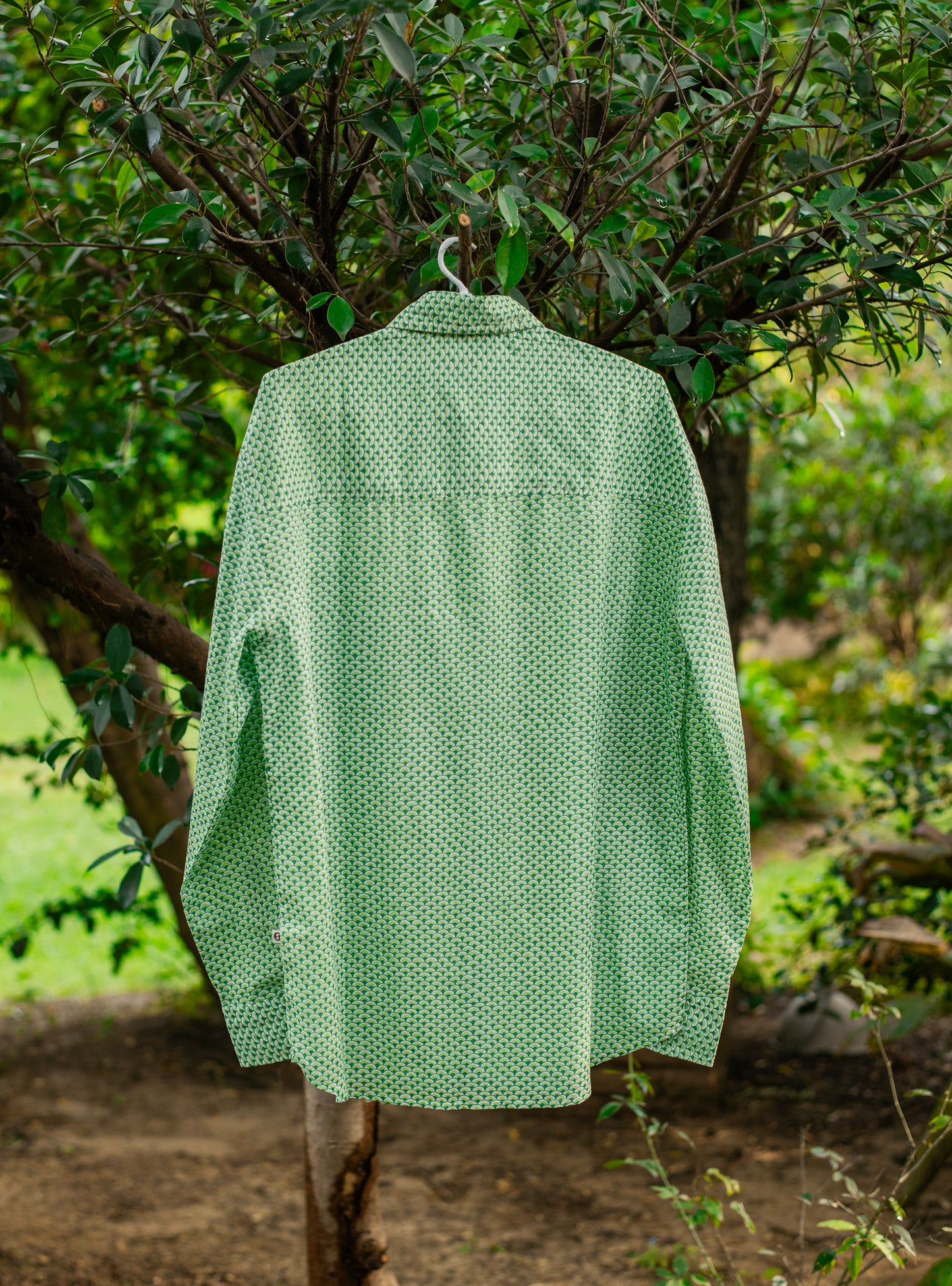 Xavier Shirt Full Sleeves : Scales Green Voile