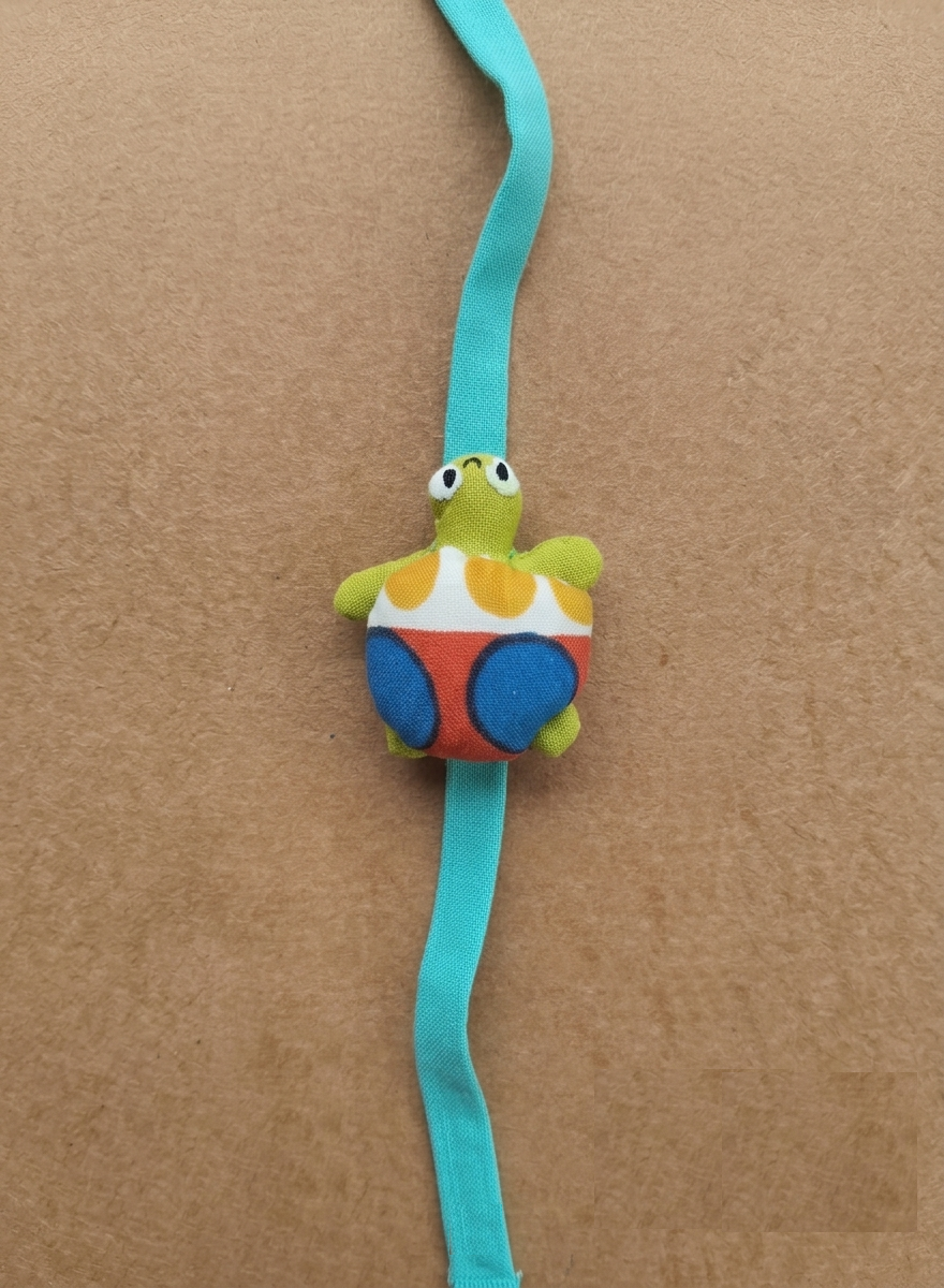 Rakhi : Turtle