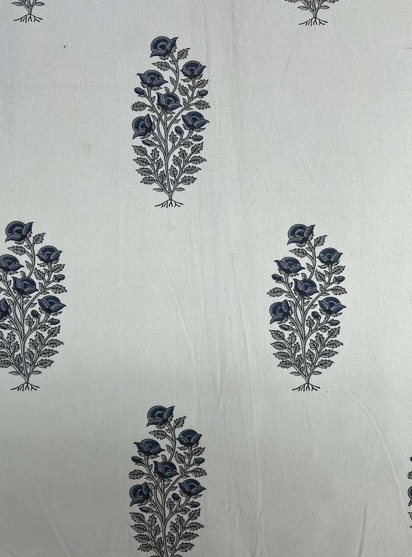 Cotton Canvas Fabric  : Rosa Buti Natural