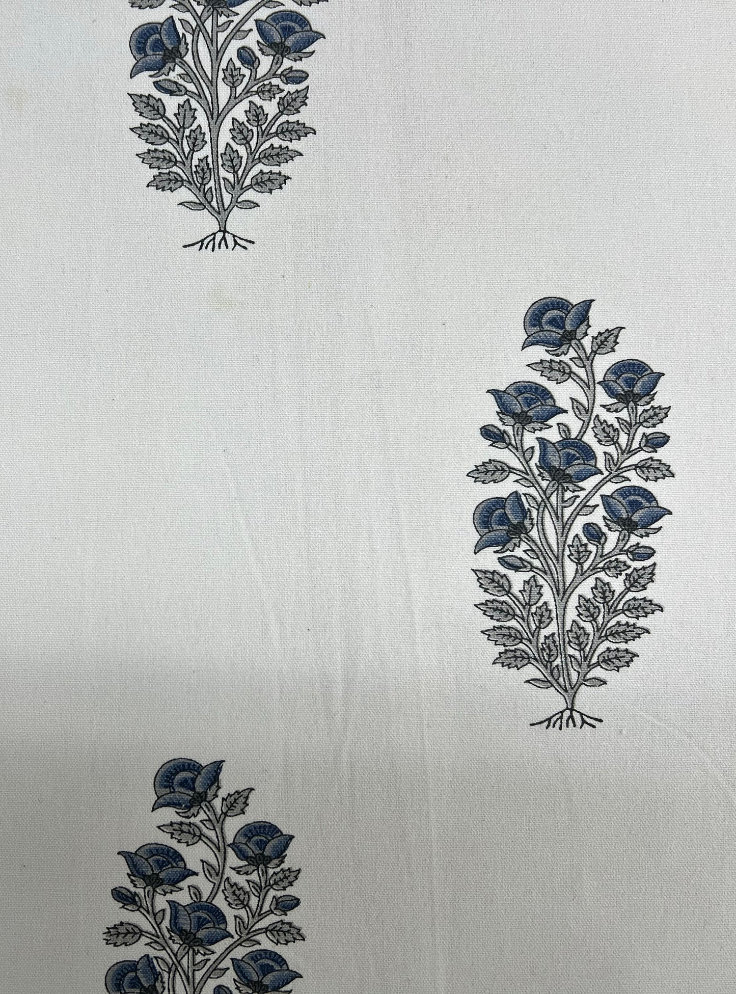 Cotton Canvas Fabric  : Rosa Buti Natural