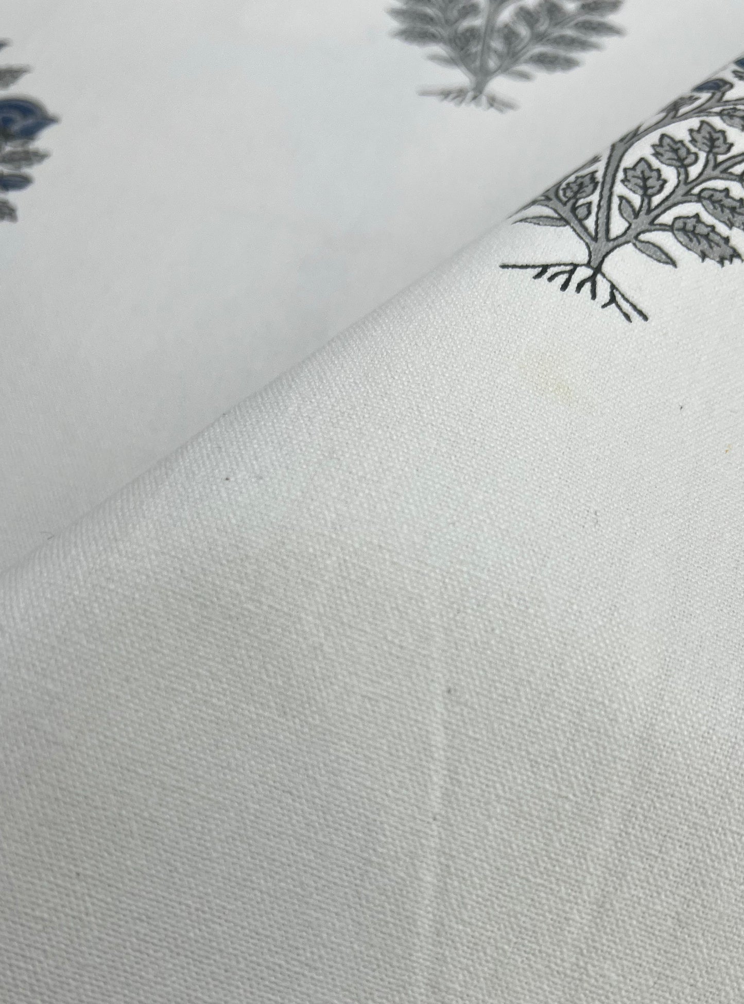 Cotton Canvas Fabric  : Rosa Buti Natural