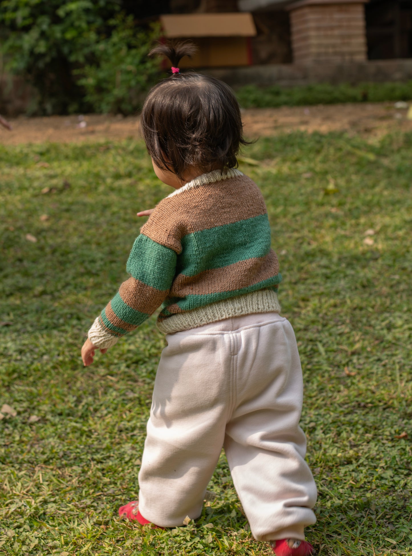 Knitted Kids : Sweater Full Sleeve Pure Wool Assorted