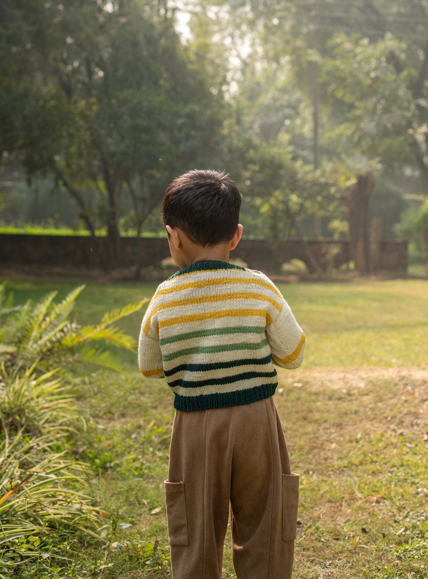 Knitted Kids : Sweater Full Sleeve Pure Wool Assorted