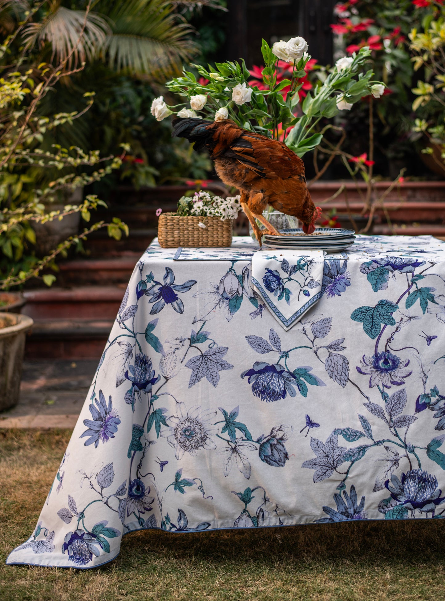 Printed Napkin Set of 6 : Serafina Blue & White Sheeting
